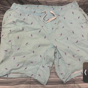 Flamingo Shorts